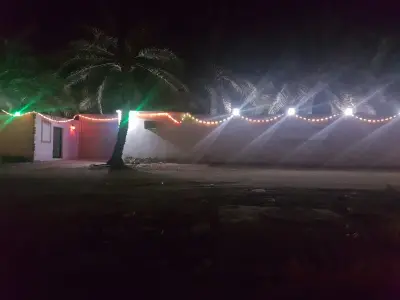 صورة ٣، مزرعة عبدالله بن علي الحاجي Abdullah bin Ali Al-Haji farm