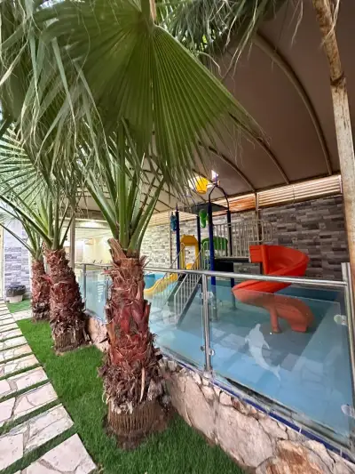 شاليه النخلة