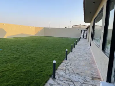 صورة ٥، سلي