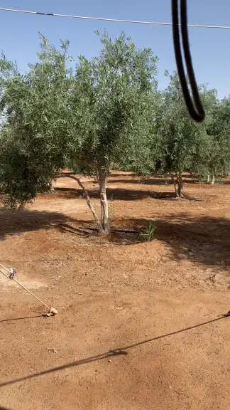 صورة ٣، مخيم مزرعة ريف البيت الريفي
