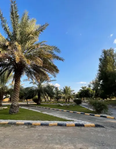 منتجع هاي بارك High park resort