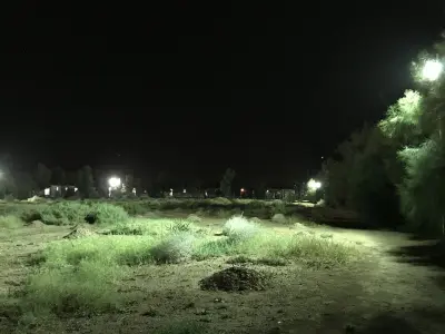 مزرعة الوادي للتأجير اليومي
