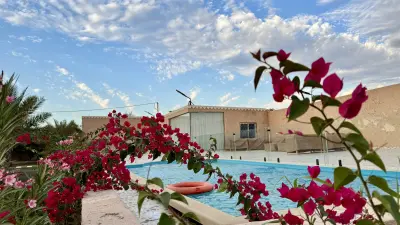 Al Rayan farm مزرعة الريان