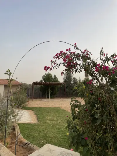 صورة ٤، شاليه ومنتجع القلعة