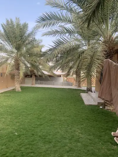 صورة ٢، شاليهات النخيل بالبصر