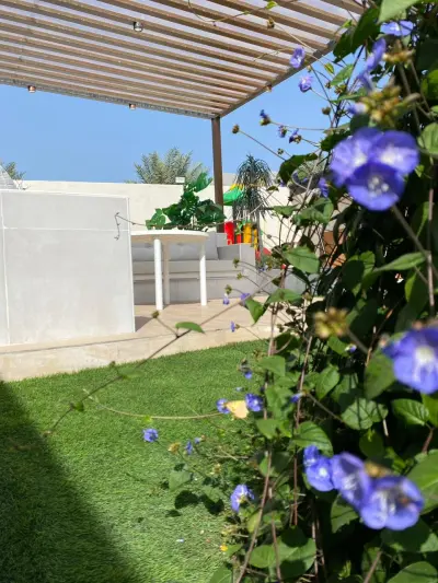 صورة ٣، منتجع سما
