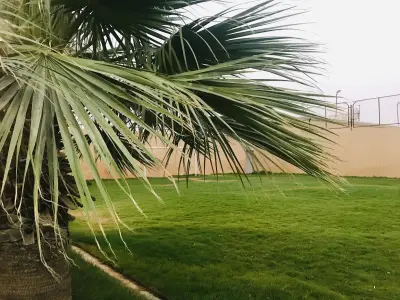 صورة ٤، استراحة الضيافة