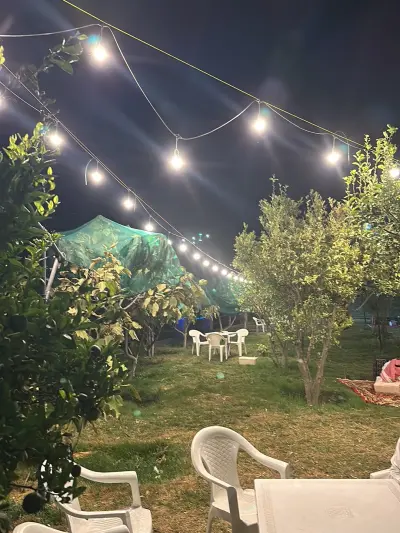 صورة ٣، مزرعة الراشدية
