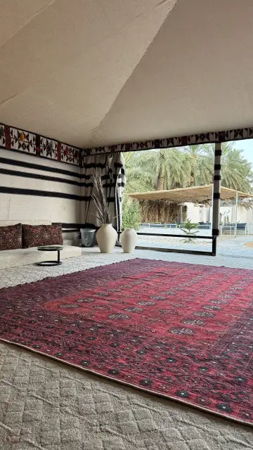 صورة ٣، مخيم طوبى