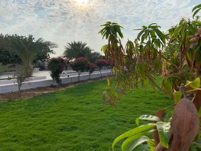 صورة ٣، استراحة الواحة بالقوز