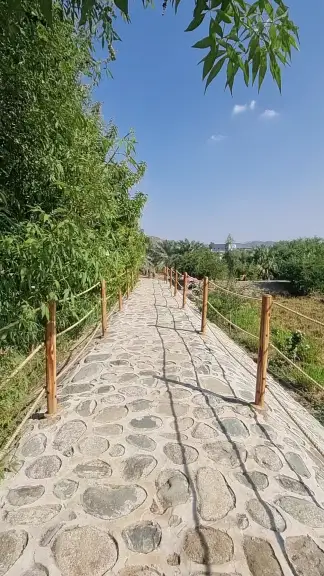 صورة ٤، مزرعة أرياف السياحية - المخواة