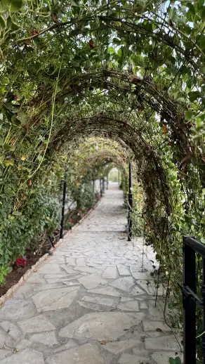 منتجع ومزرعة المحمدية