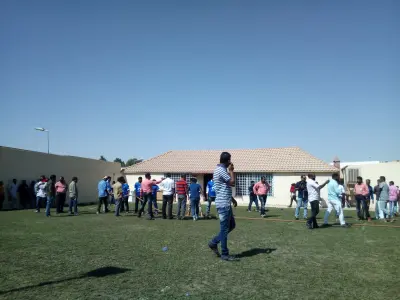 استراحة النخيل