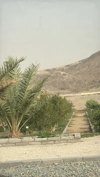 صورة ٤، مزرعة شموخ الريف