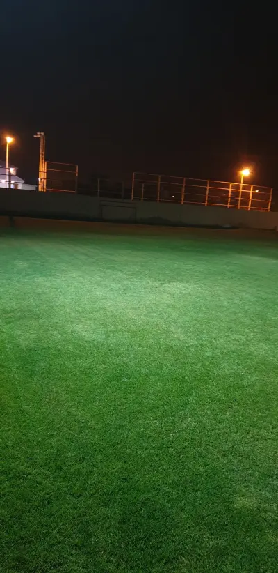 صورة ٥، استراحة الليمونة