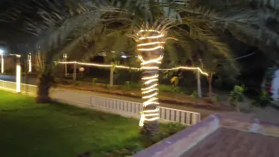 صورة ٣، مزرعة عم ناصر