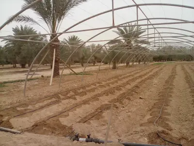 استراحة المتميزة
