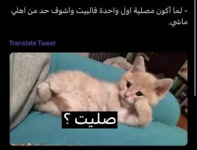 إستراحه ريحانه