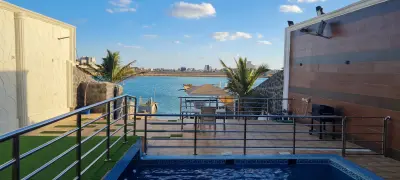 النورس