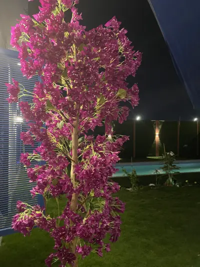 شاليه الحديقة اليونانيه