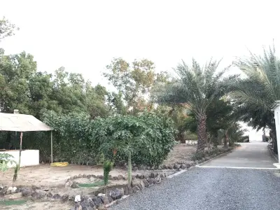 صورة ٦، استراحة الدانة