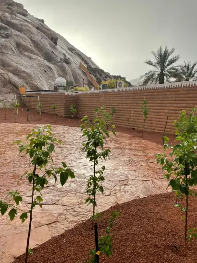 صورة ٣، ڤيلا ماضينا