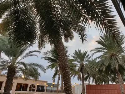 استراحة و ملعب المصباح
