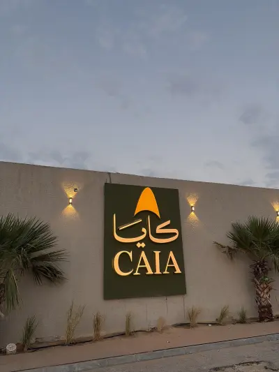 صورة ٢، كايا CAIA