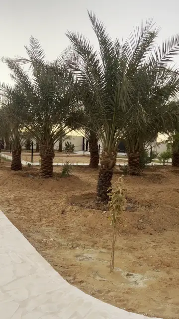 صورة ٣، مزرعة الفيصل