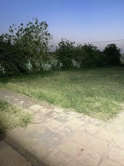 صورة ٣، استراحة الفخامة