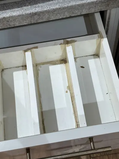 صورة ٣، شاليهات ومنتجعات بوينس أيرس المائيه