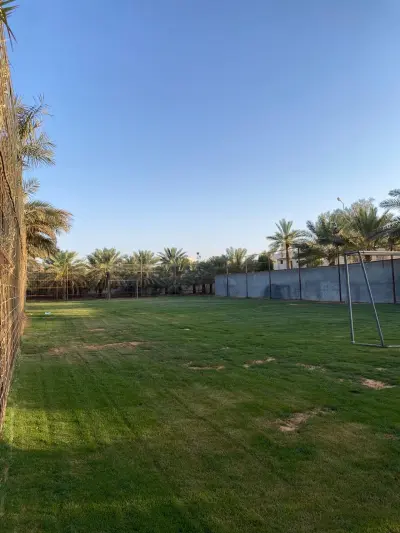 صورة ٣، استراحة ياسر
