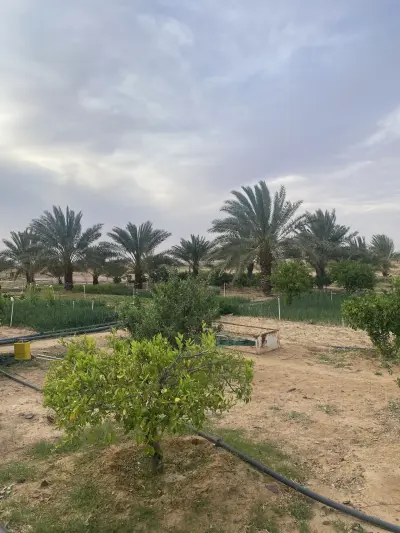 صورة ٣، استراحة البعيثة