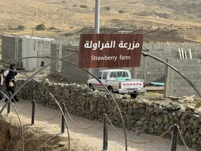 مخيمات سبر