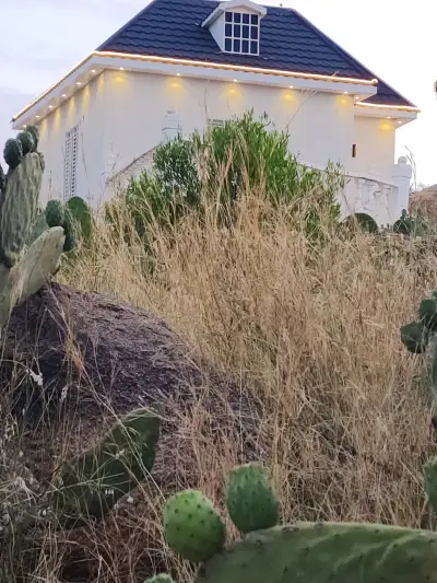 صورة ٢، استراحة اطلالة الجبل