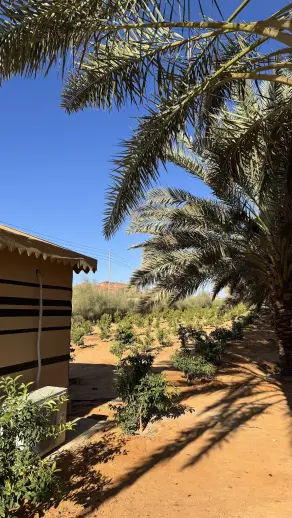 صورة ٤، مزرعة المعتدل
