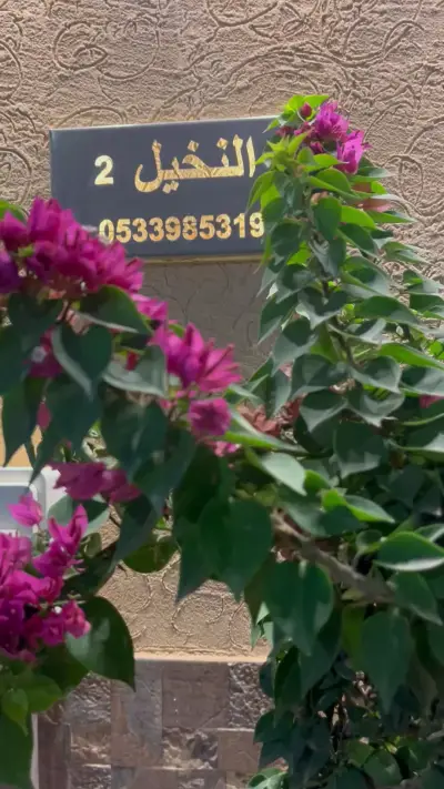 صورة ٣، شاليه النخيل