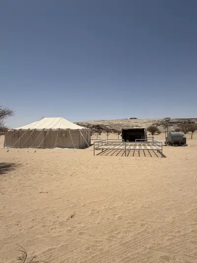 صورة ٢، مخيم الغربي