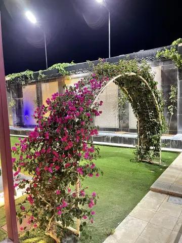 صورة ٢، شاليه بوليفارد