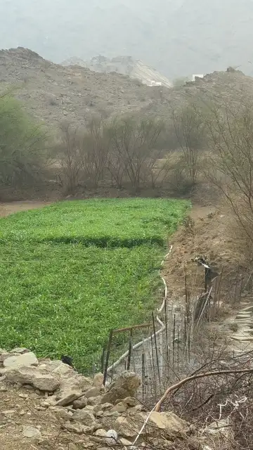 صورة ٣، استراحة الياسمين
