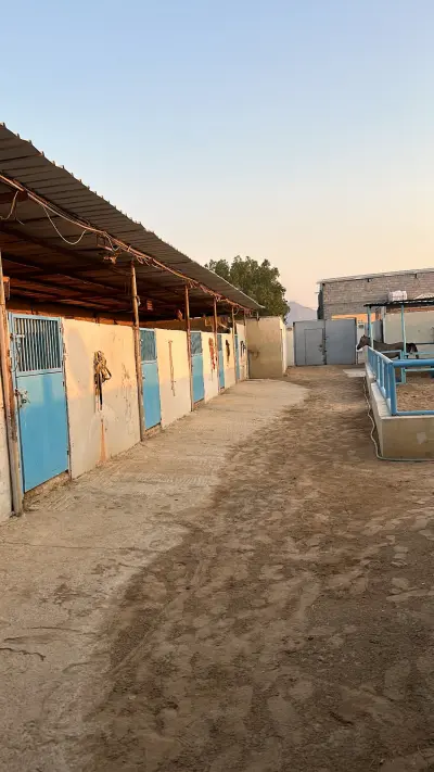 صورة ٢، استراحة ومربط السّالم
