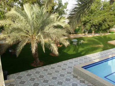 صورة ٥، استراحة المملكة