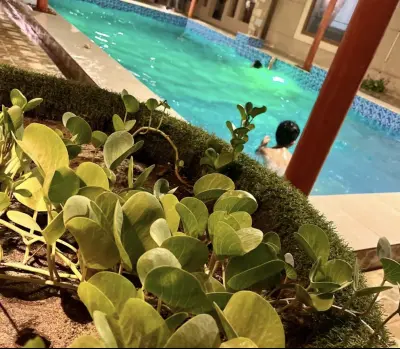 صورة ٣، Lake resort استراحة البحيرة