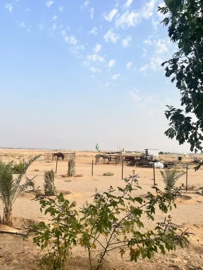 صورة ٤، استراحة البعيثة