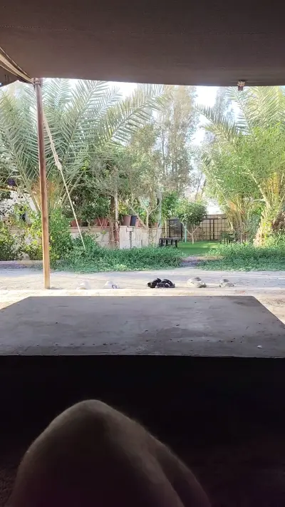 صورة ٣، استراحة المتميزة