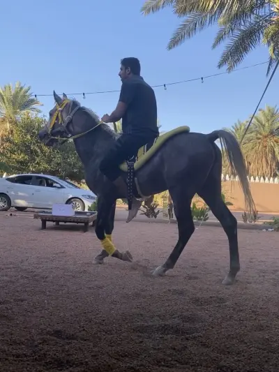 صورة ٣، مزرعة الموينع