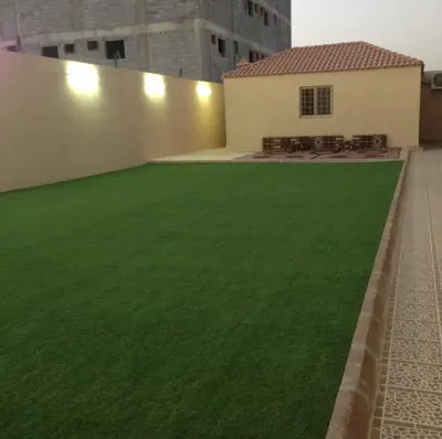 صورة ٥، استراحة النورس