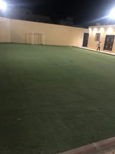 صورة ٢، استراحة النورس