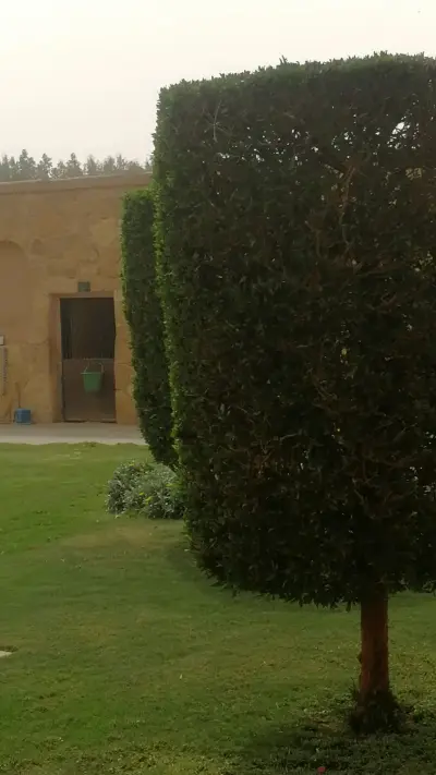 صورة ٣، شاليهات اشكال