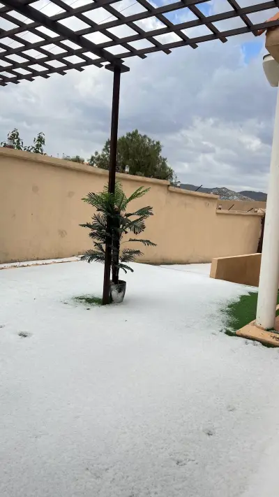 صورة ٥، نسايم السودة